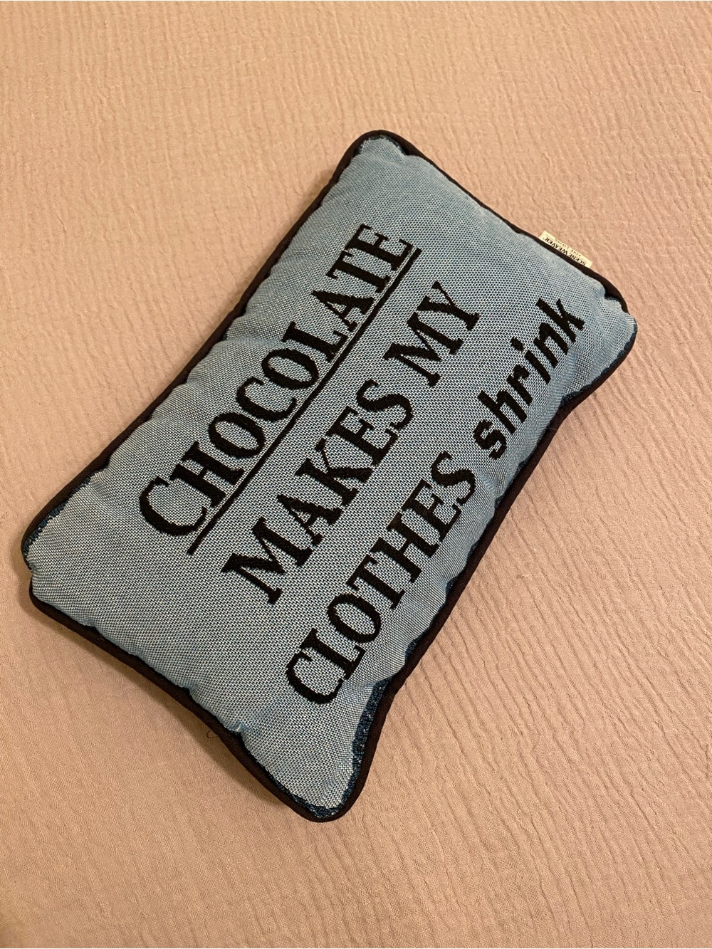 SCENE WEAVER Novelty Decorative Pillow - Blue "Chocolate Makes My Clothes Shrink
